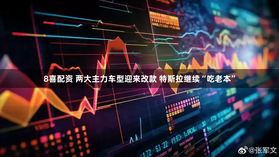 8喜配资 两大主力车型迎来改款 特斯拉继续“吃老本”
