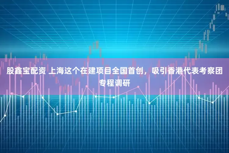 股鑫宝配资 上海这个在建项目全国首创，吸引香港代表考察团专程调研