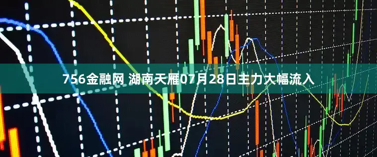 756金融网 湖南天雁07月28日主力大幅流入
